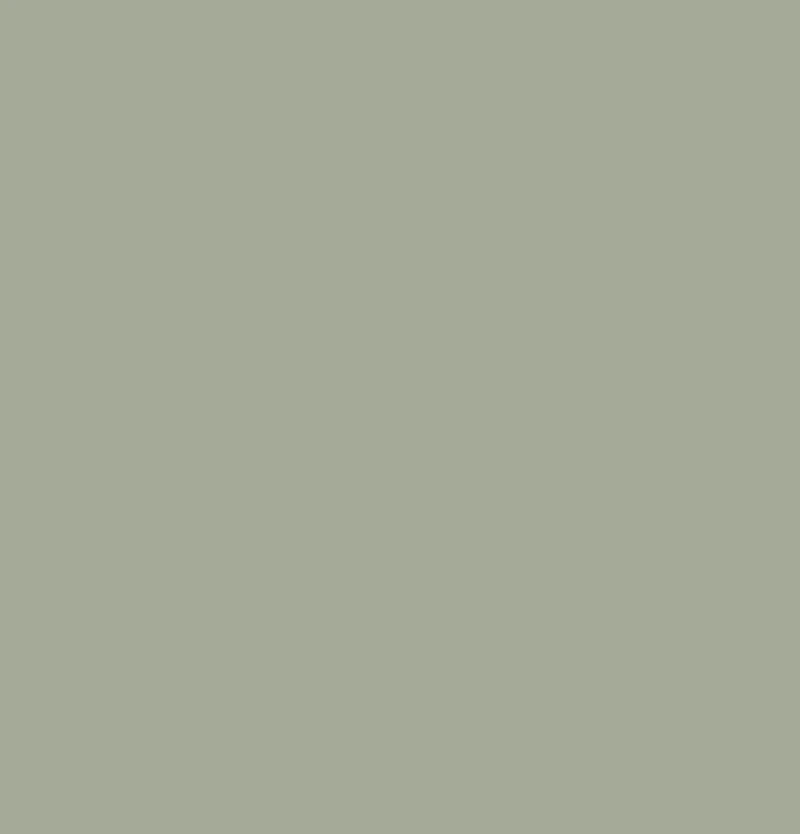 Modern Solid Color Blister Film